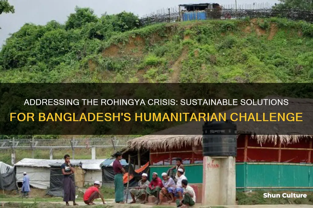 how to resolve rohingya issues in bangladesh