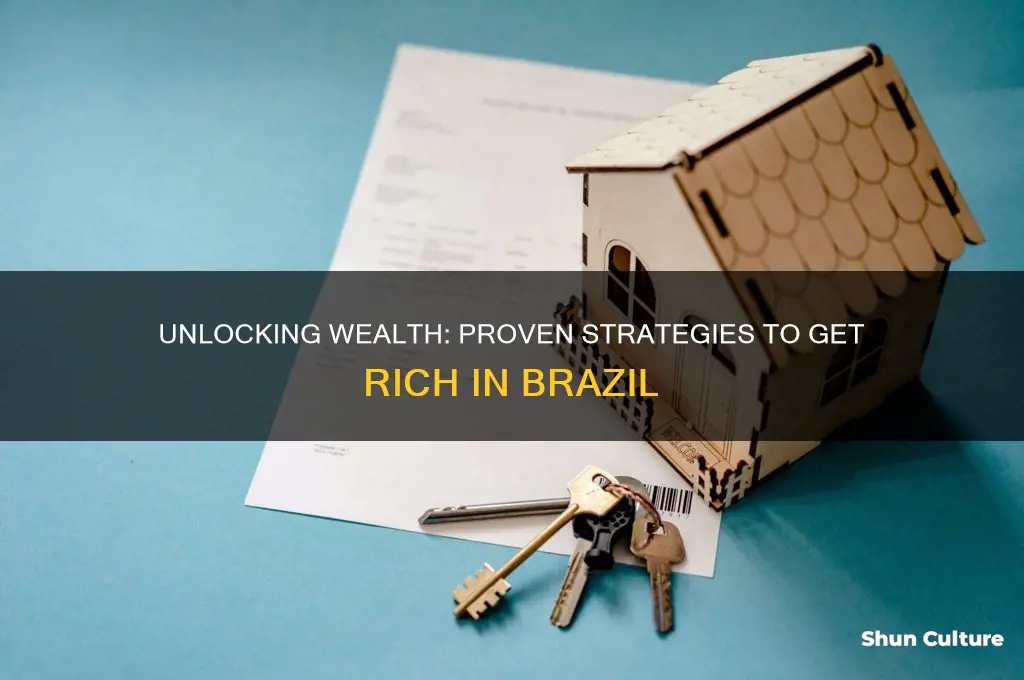 how to rich in brazil