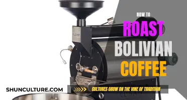 Roasting Bolivian Coffee: A Step-by-Step Guide to Perfection