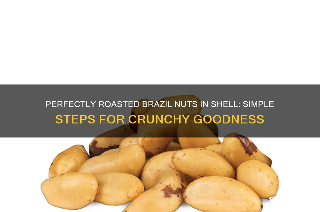 how to roast brazil nuts in shell