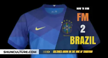 Mastering FM22: A Comprehensive Guide to Managing in Brazil