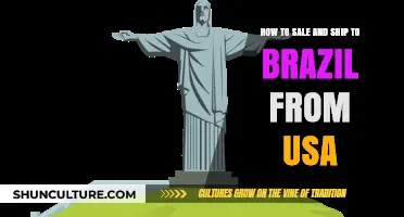 Selling and Shipping to Brazil: A Comprehensive Guide for US Businesses