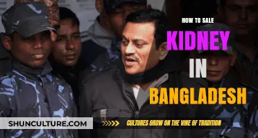 Selling a Kidney in Bangladesh: Legal, Ethical, and Safe Practices Explained