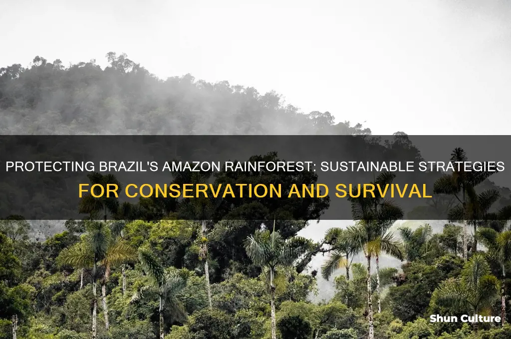 how to save the amazon rainforest in brazil
