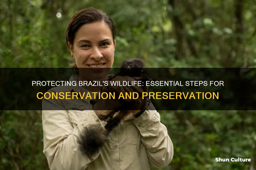 how to save wildlife in brazil