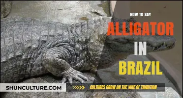 Discover the Brazilian Word for Alligator: A Quick Language Guide