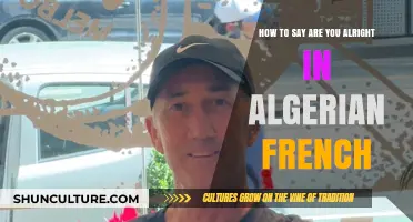 Comment Dire 'Are You Alright' en Français Algérien: Guide Pratique