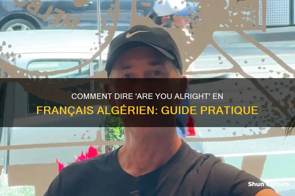 how to say are you alright in algerian french