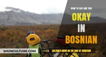 How to Ask 'Are You Okay?' in Bosnian: A Quick Guide