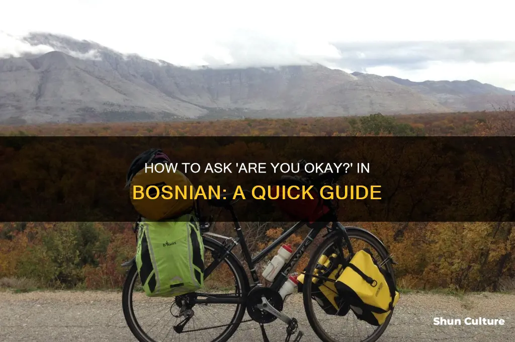 how to say are you okay in bosnian