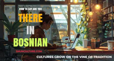 How to Say 'Are You There?' in Bosnian: A Quick Guide
