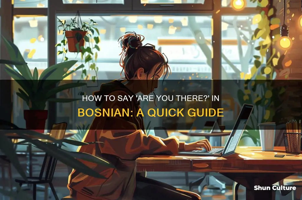 how to say are you there in bosnian