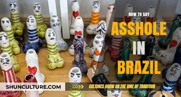 Mastering Brazilian Portuguese: How to Politely (or Not) Say Asshole