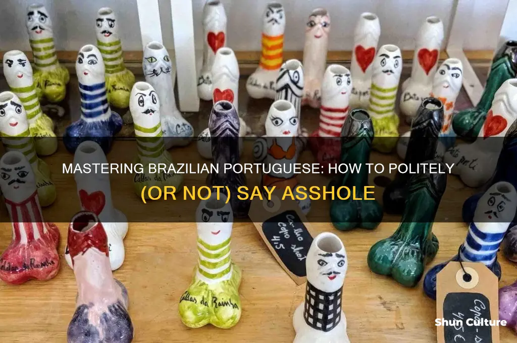 how to say asshole in brazil