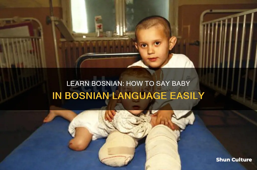 how to say baby in bosnian