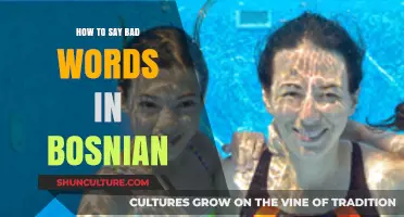 Mastering Bosnian Profanity: A Guide to Expressing Strong Emotions