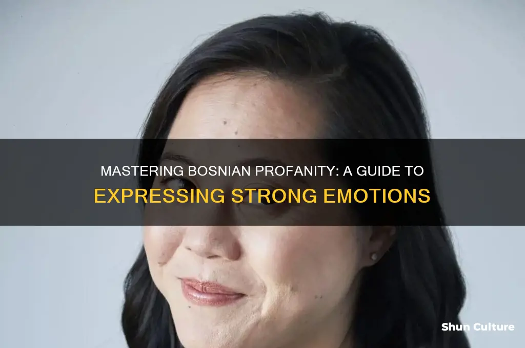 how to say bad words in bosnian