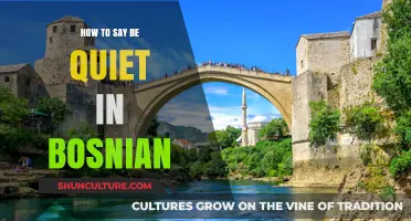 Mastering Bosnian Etiquette: How to Politely Say 'Be Quiet' in Bosnian