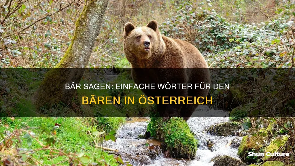 how to say bear in austrian