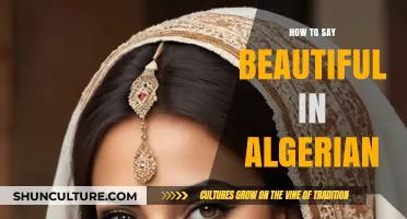 Expressing Beauty in Algerian Arabic: Learn How to Say Beautiful