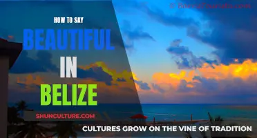 Explore Belize's Beauty and Language: How to Say Beautiful