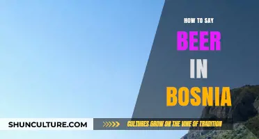 Discovering Bosnian Culture: How to Say Beer in Bosnia