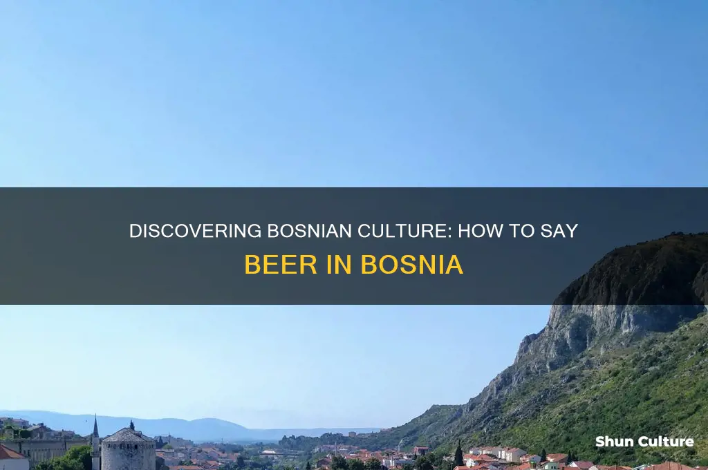 how to say beer in bosnia