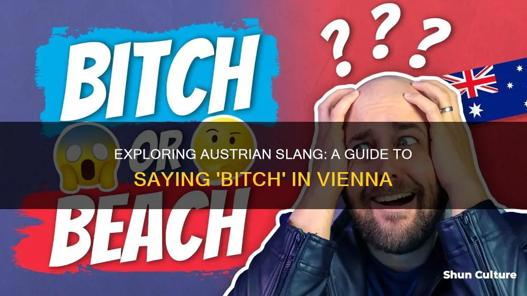 how to say bitch in austria