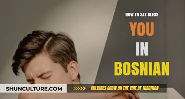 Bless You in Bosnian: A Quick Guide to Saying 'Nazdravlje' Correctly