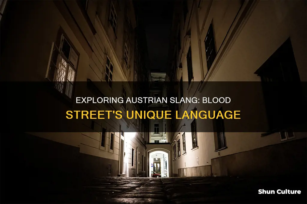 how to say blood street in austria