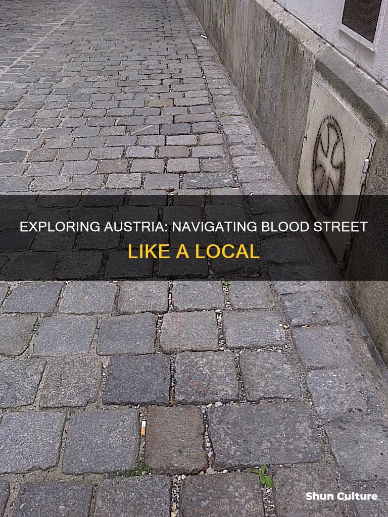 how to say blood street in austria