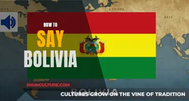 Pronouncing Bolivia: A Guide to Getting It Right