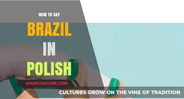How to Say Brazil in Polish: A Quick Language Guide