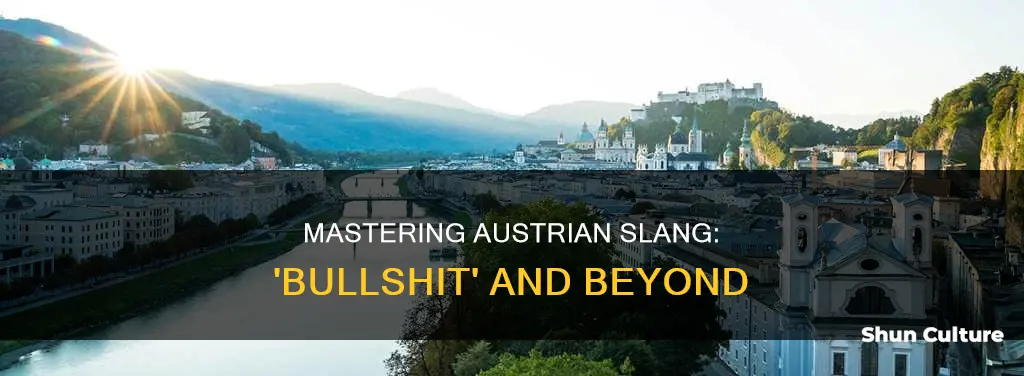 how to say bullshit in austrian