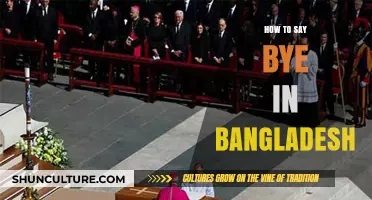 Farewell in Bengali: How to Say Bye in Bangladesh