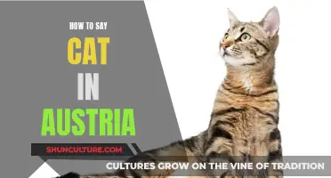 Meow in Austria: A Guide to Saying 'Cat' in German