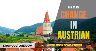 Mastering the Art of Saying 'Change' in Austrian: A Comprehensive Guide