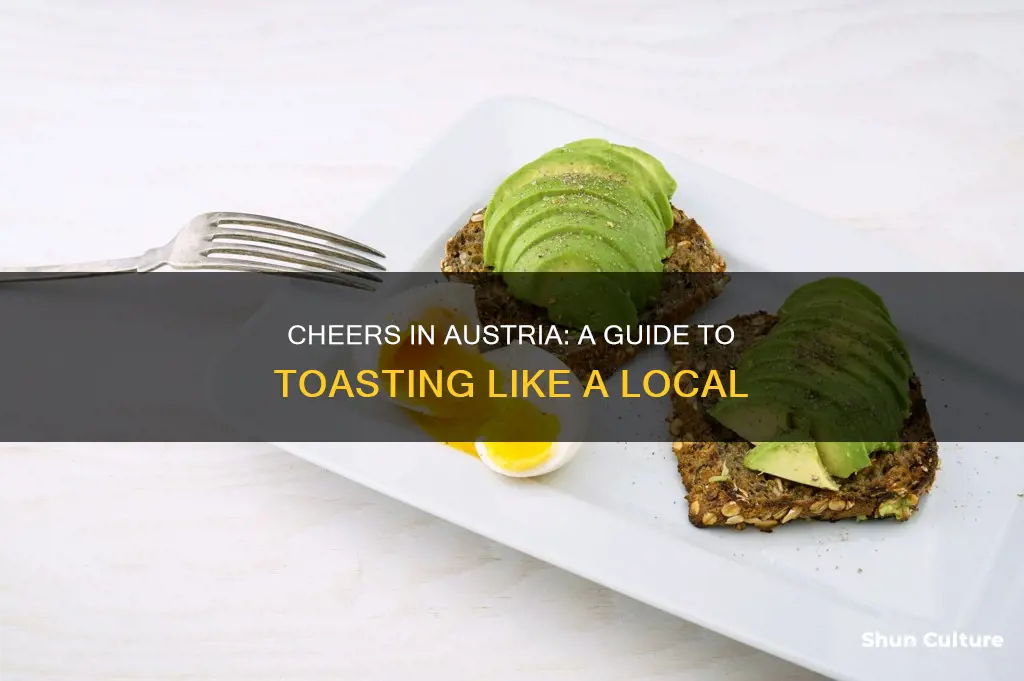 how to say cheers in austria