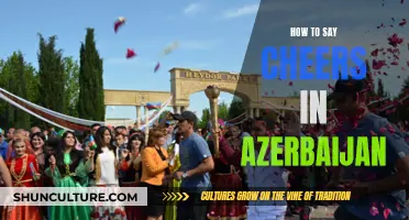 Cheers in Azerbaijan: A Guide to Local Toasts and Celebrations