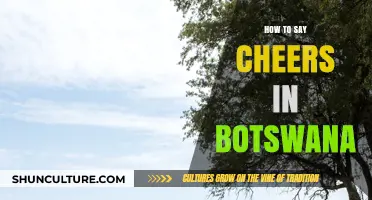 Raise Your Glass: How to Say Cheers in Botswana