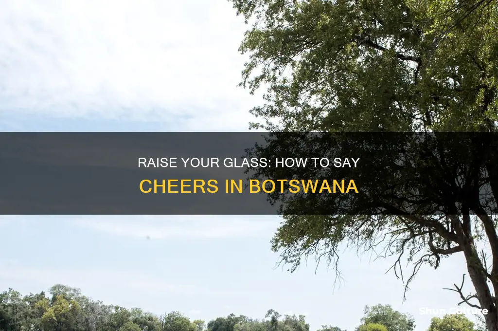 how to say cheers in botswana