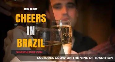 Raise Your Glass: Mastering 'Cheers' in Brazilian Portuguese Culture