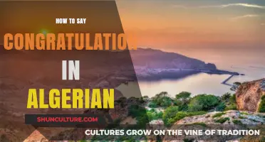 Mastering Algerian Congratulations: A Guide to Authentic Expressions of Joy