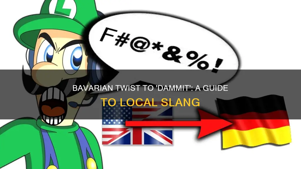 how to say dammit in bavarian