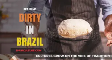 How to Say 'Dirty' in Brazilian Portuguese: A Quick Guide