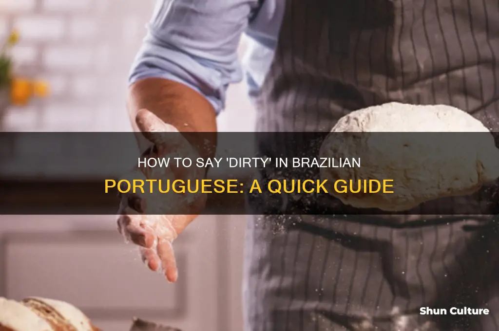 how to say dirty in brazil