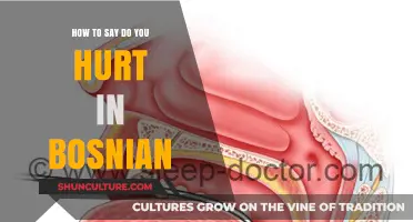 How to Ask 'Do You Hurt?' in Bosnian: A Quick Guide