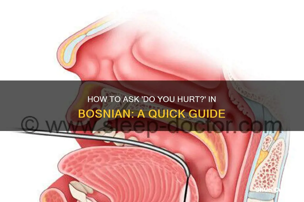how to say do you hurt in bosnian
