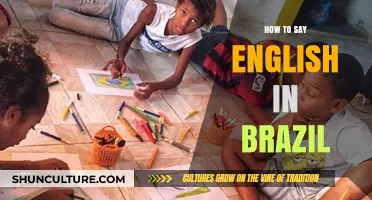 Mastering English in Brazil: Essential Tips for Language Learners