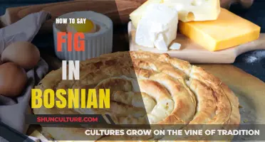 Discovering Bosnian Vocabulary: How to Say 'Fig' in Bosnian Language